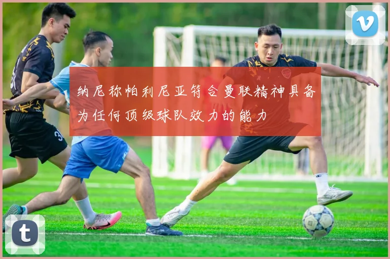 纳尼称帕利尼亚符合曼联精神具备为任何顶级球队效力的能力
