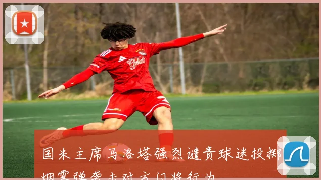 国米主席马洛塔强烈谴责球迷投掷烟雾弹袭击对方门将行为