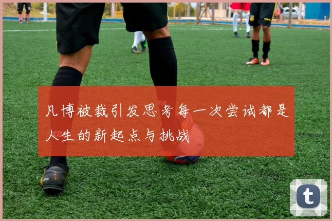 凡博被裁引发思考每一次尝试都是人生的新起点与挑战