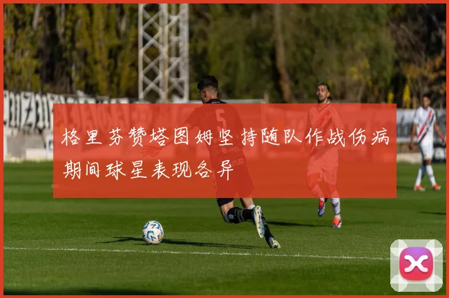 格里芬赞塔图姆坚持随队作战伤病期间球星表现各异