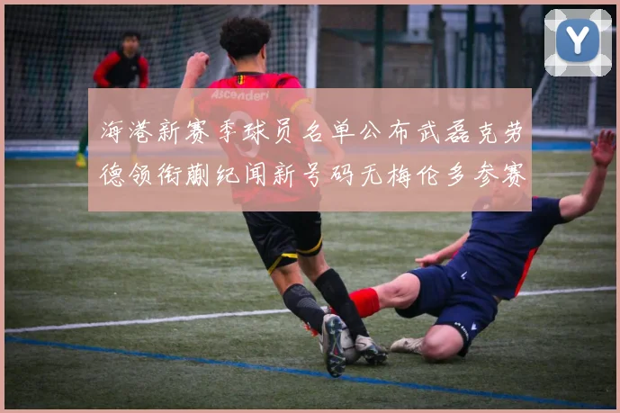 海港新赛季球员名单公布武磊克劳德领衔蒯纪闻新号码无梅伦多参赛